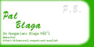 pal blaga business card